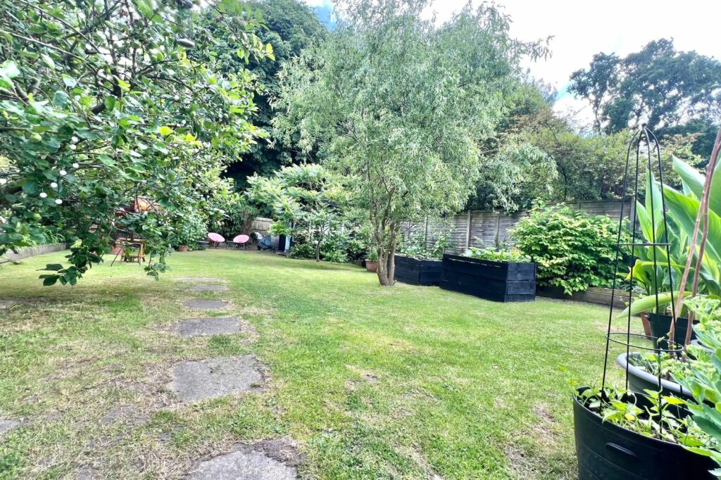 Property Image_19