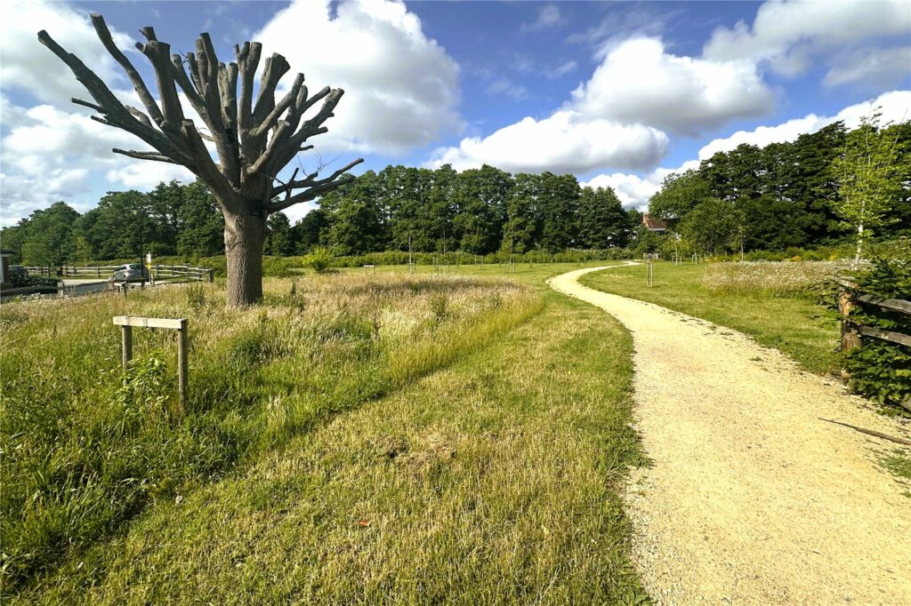Property Image_11