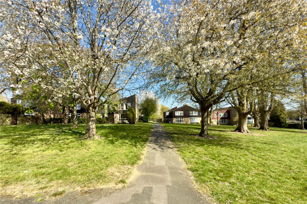 Property Image_34