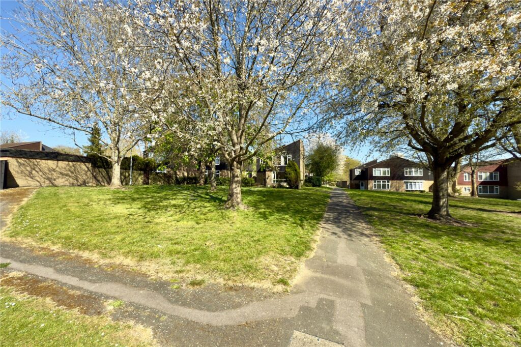 Property Image_10