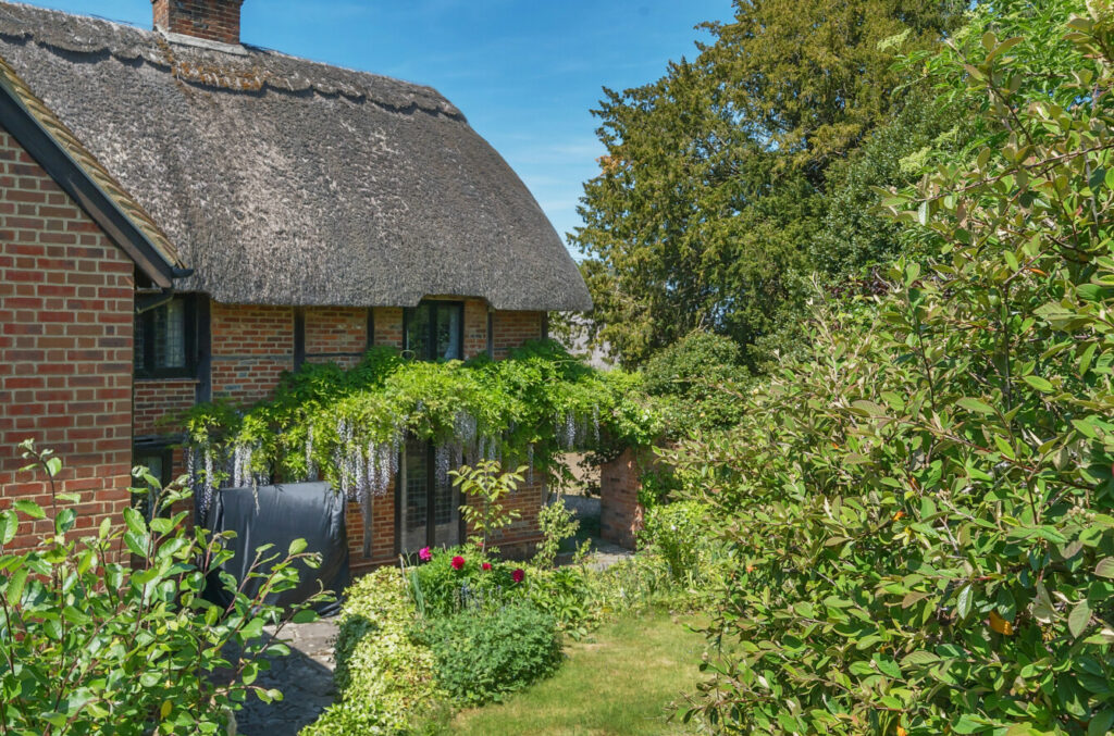 Property Image_22