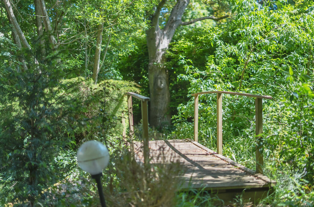 Property Image_25