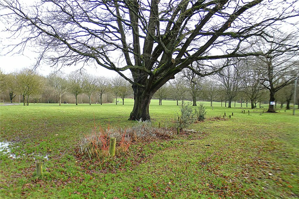 Property Image_27