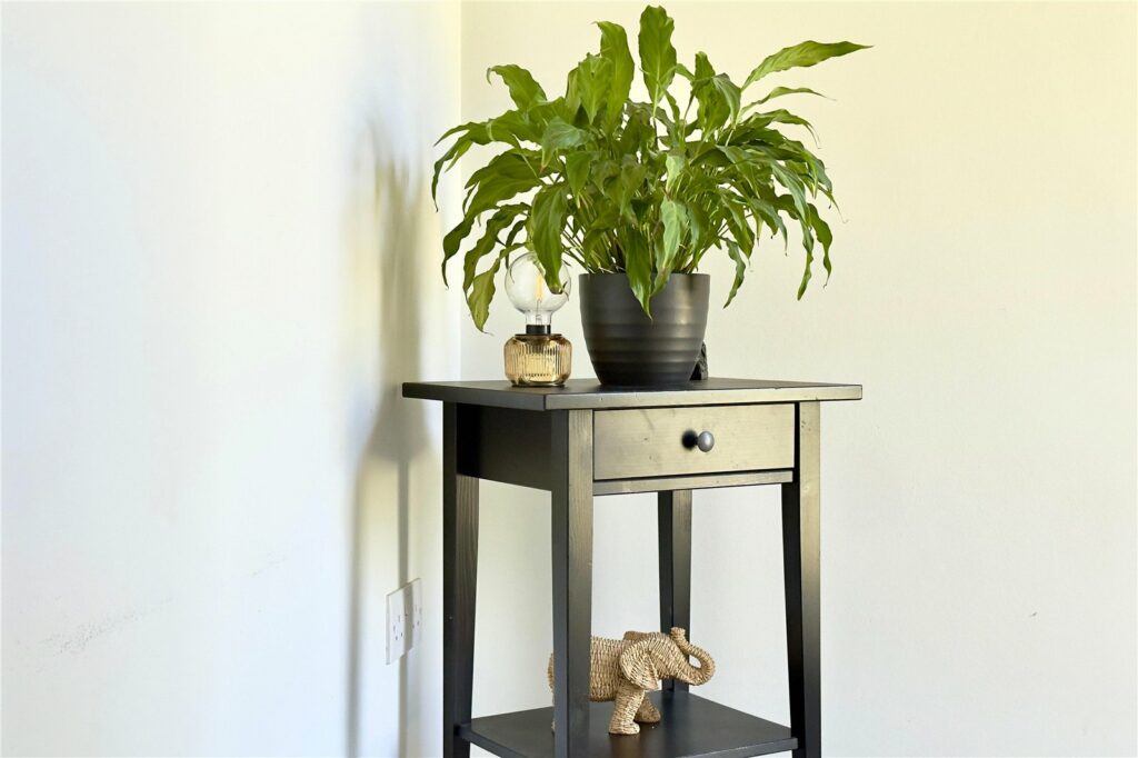 Property Image_12