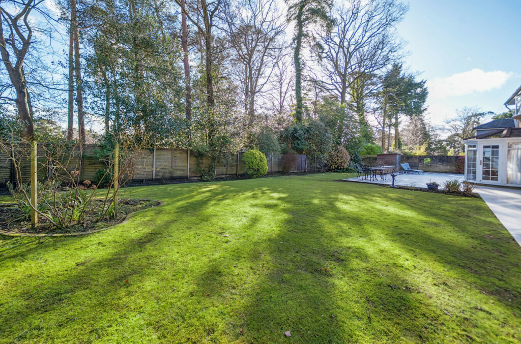 Property Image_17