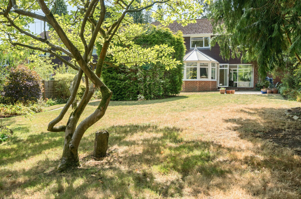 Property Image_2