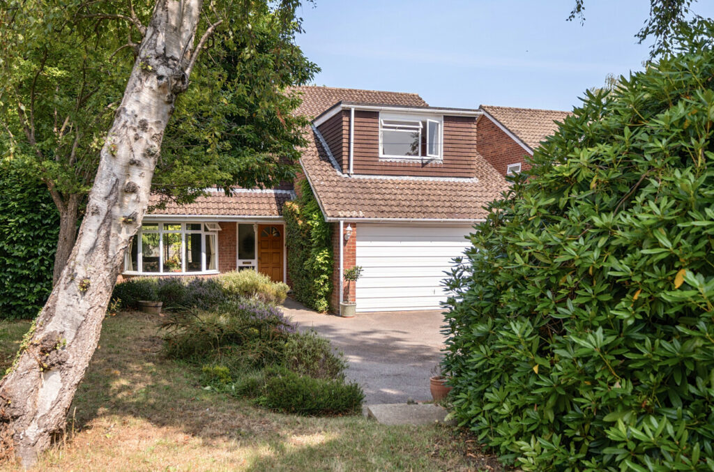 Property Image_19