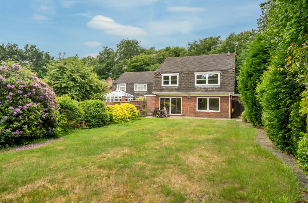 Property Image_19