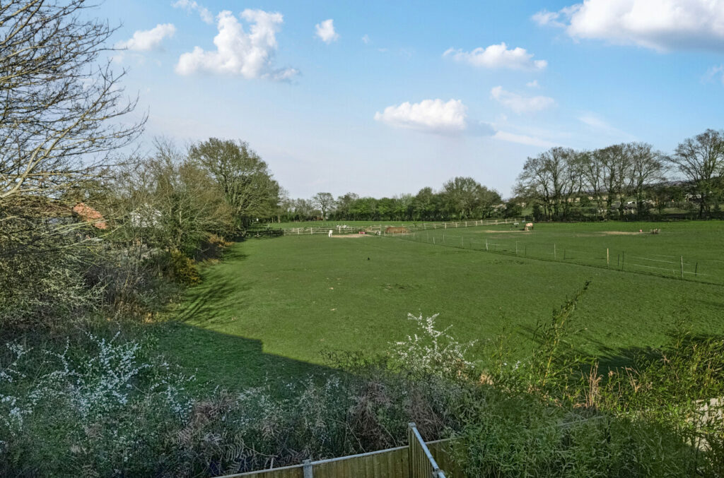 Property Image_11