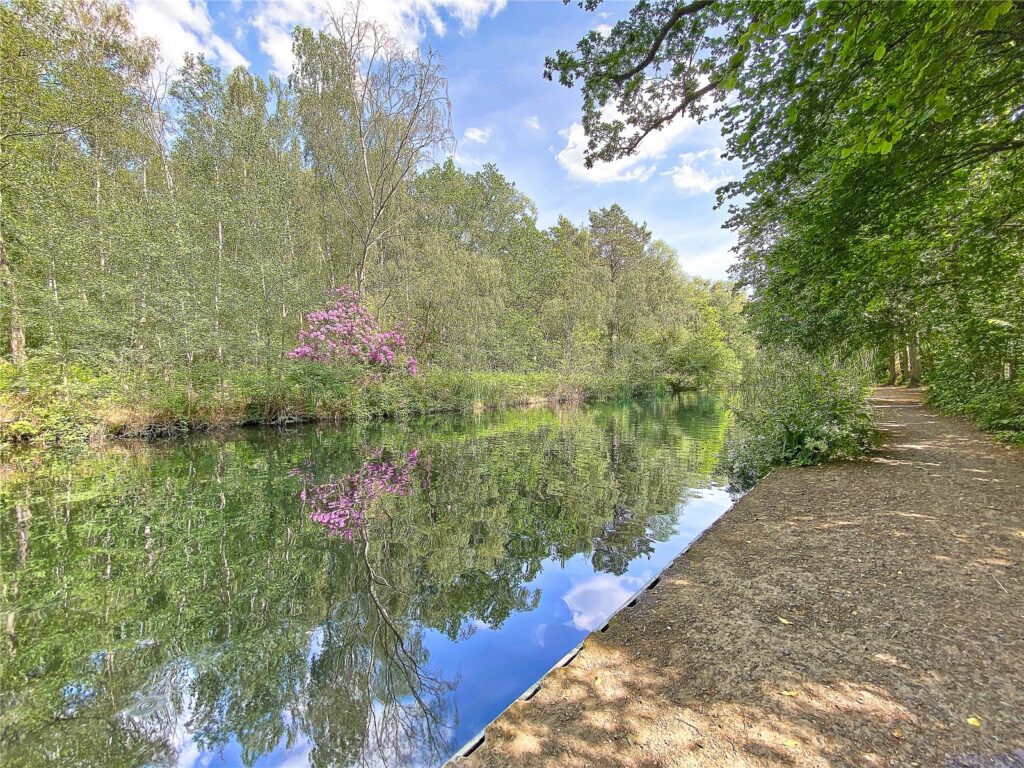 Property Image_7