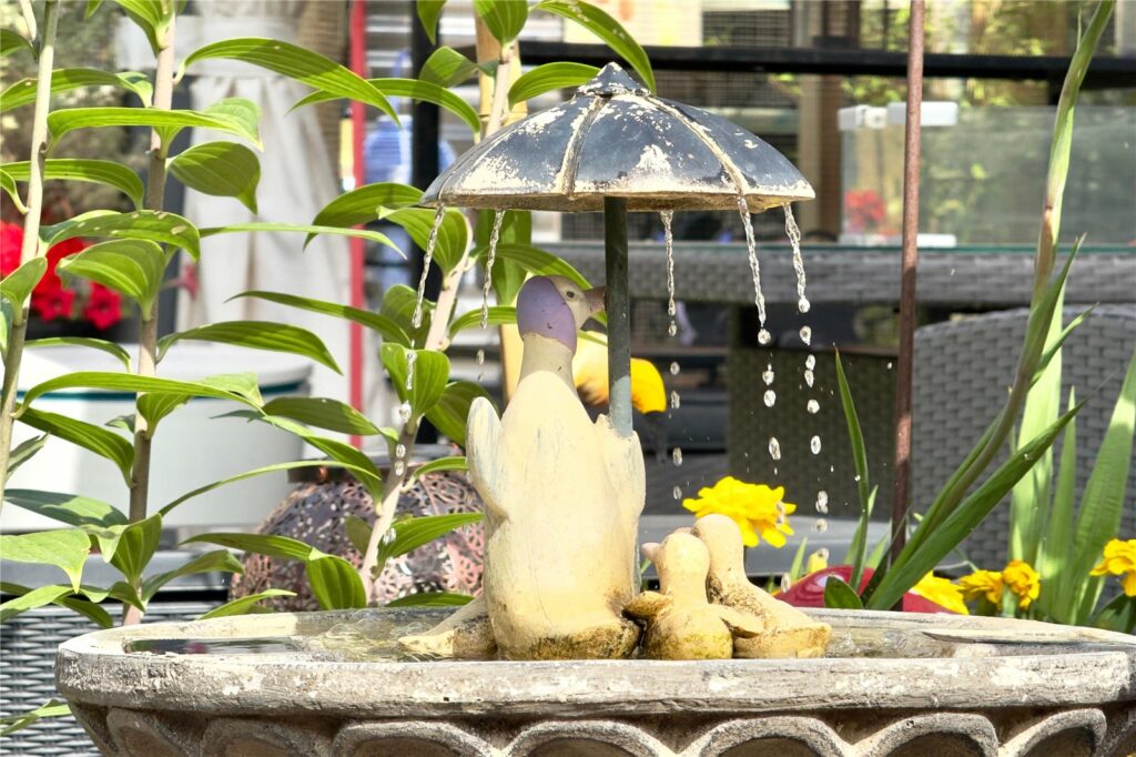 Property Image_19