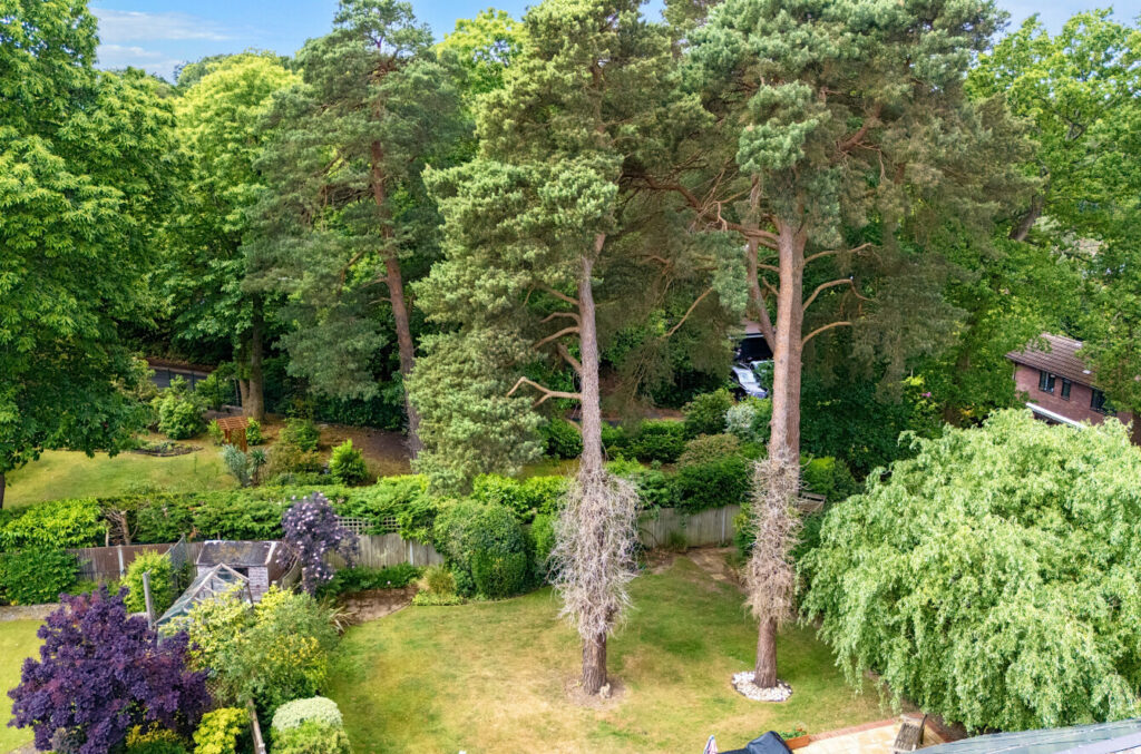 Property Image_2