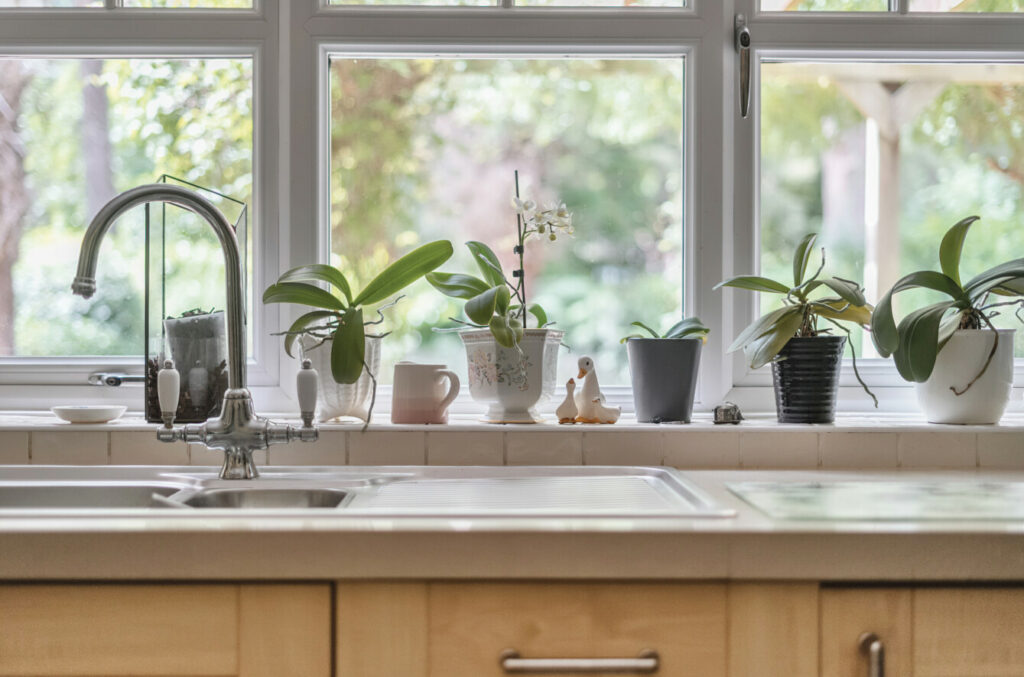 Property Image_18