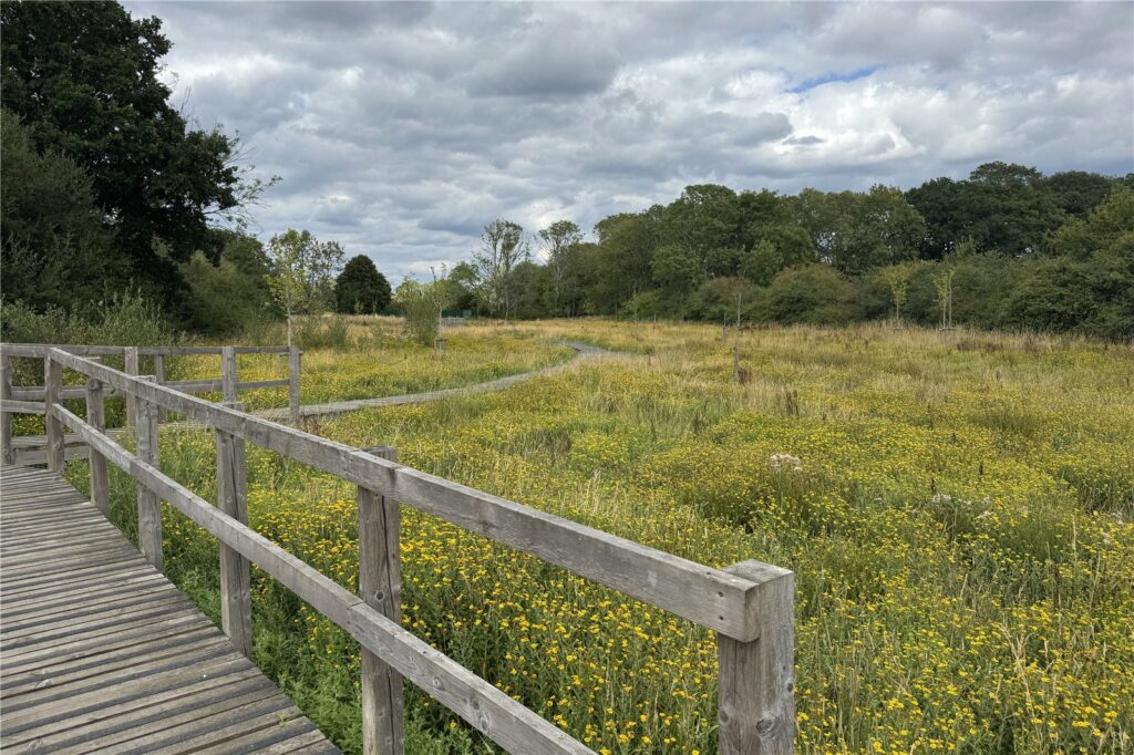 Property Image_20