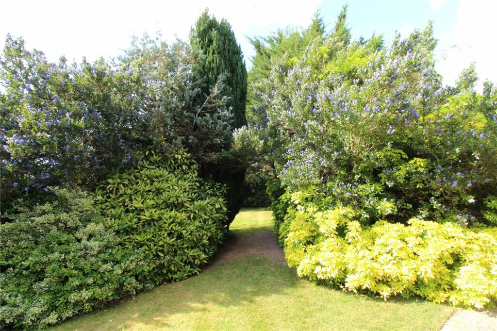 Property Image_13