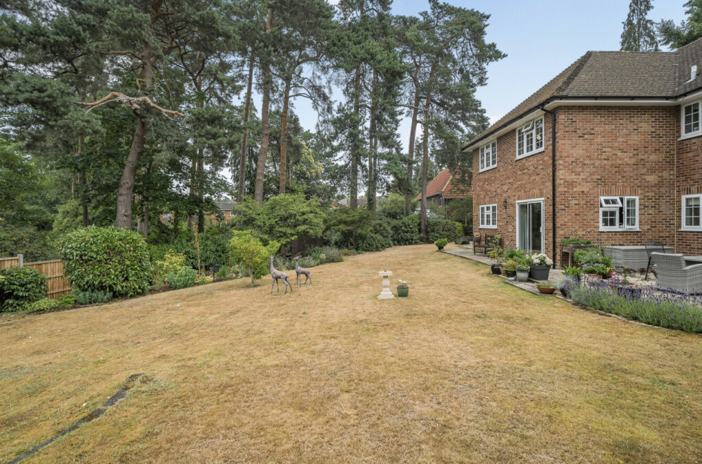 Property Image_25