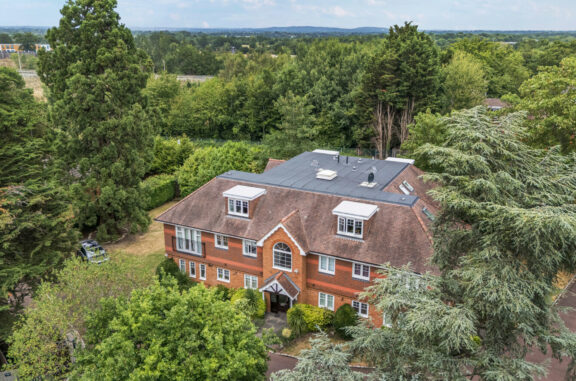 Old Forest Road Image