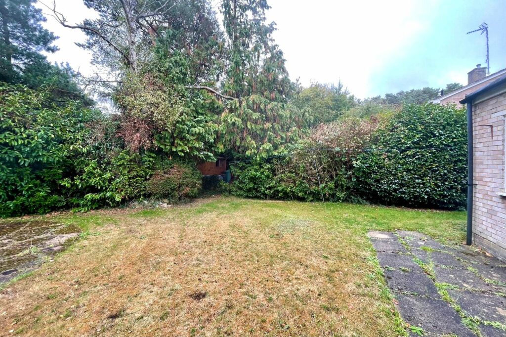 Property Image_15