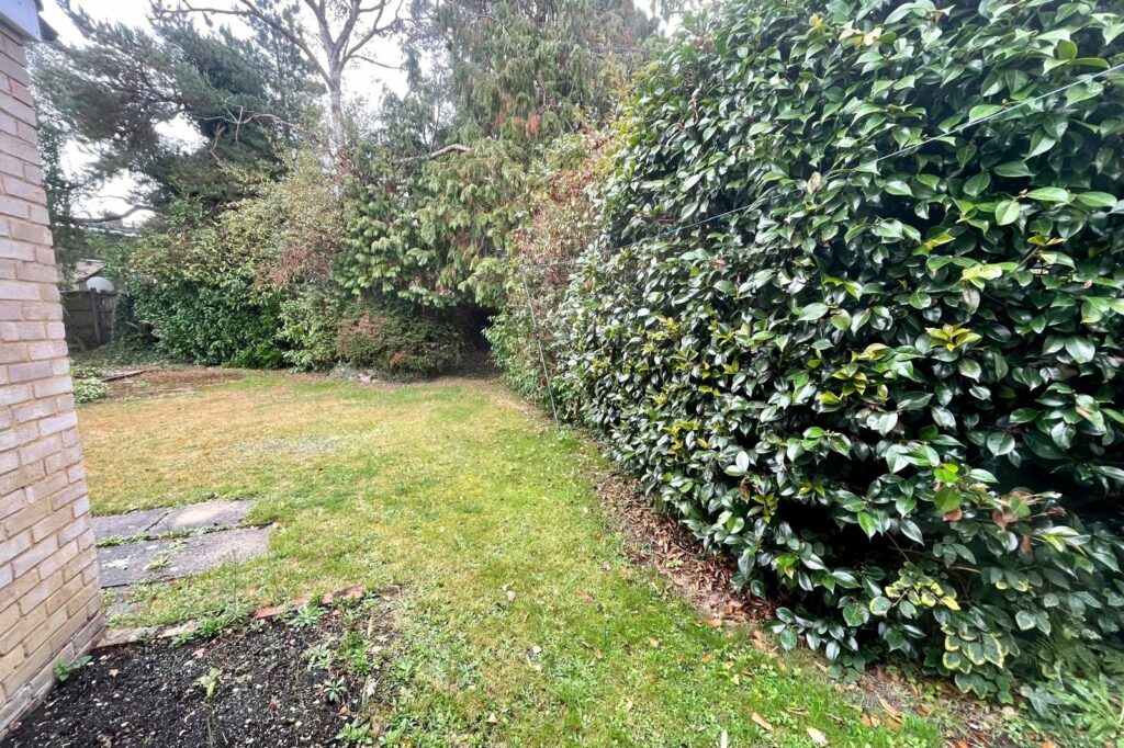 Property Image_17