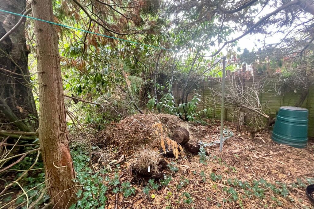 Property Image_20