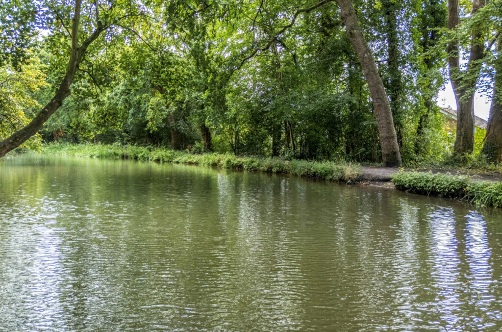 Property Image_2
