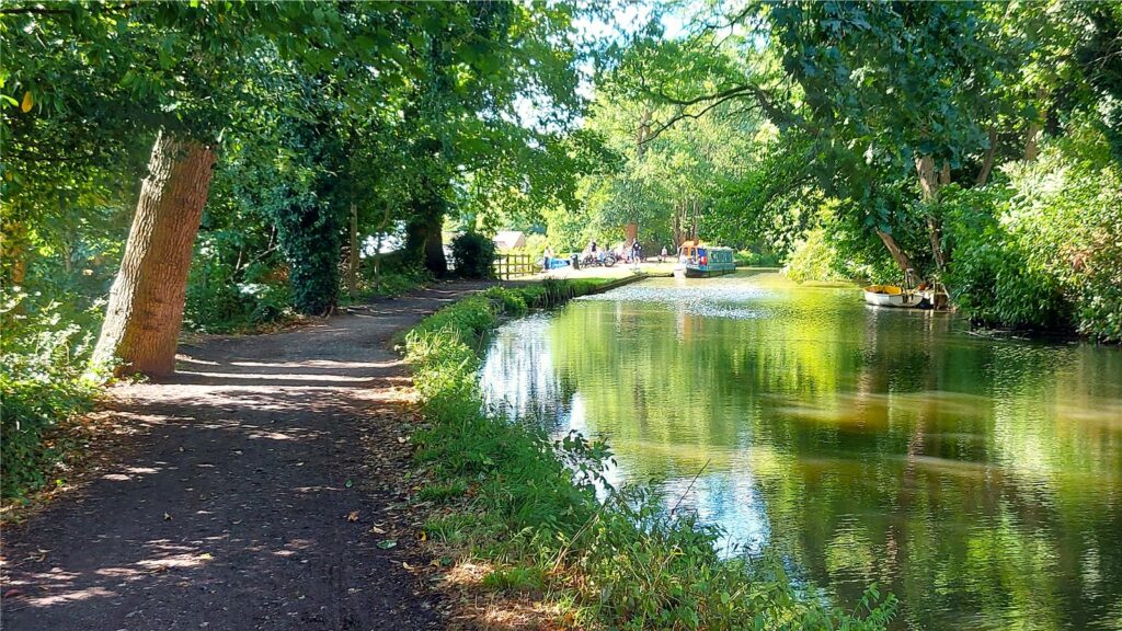 Property Image_26