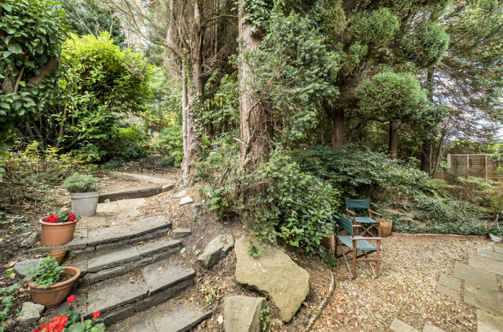 Property Image_18