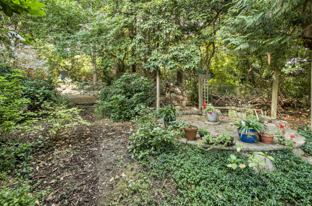Property Image_8