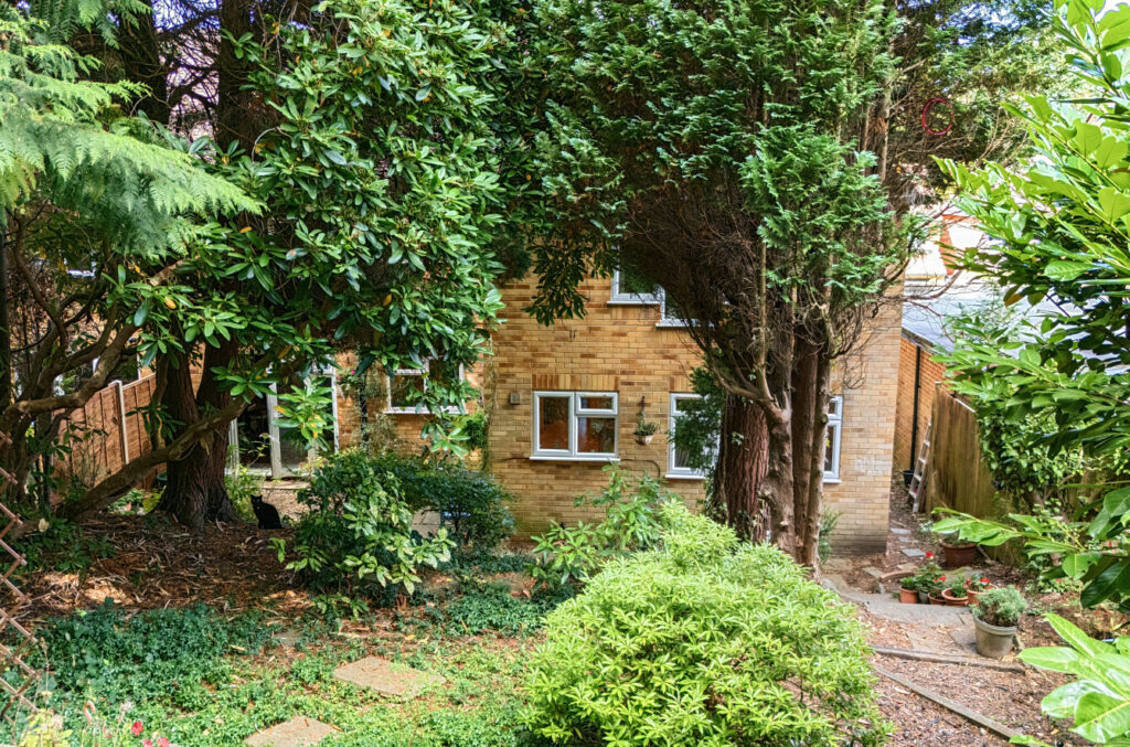 Property Image_25