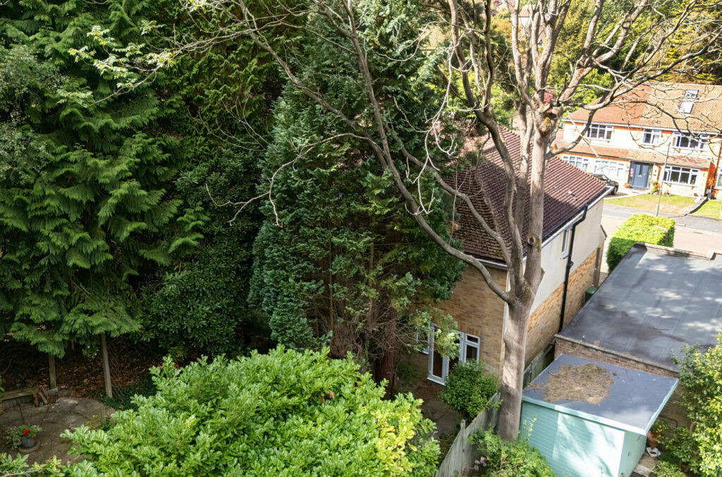 Property Image_26
