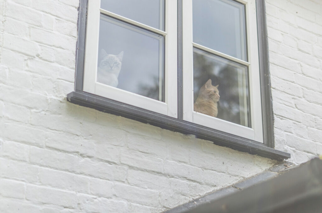 Property Image_23