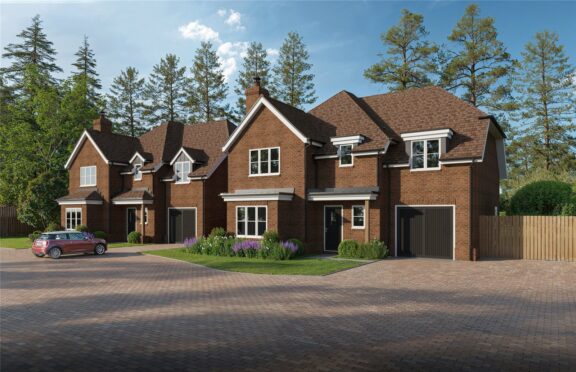 Bartley Heath Image