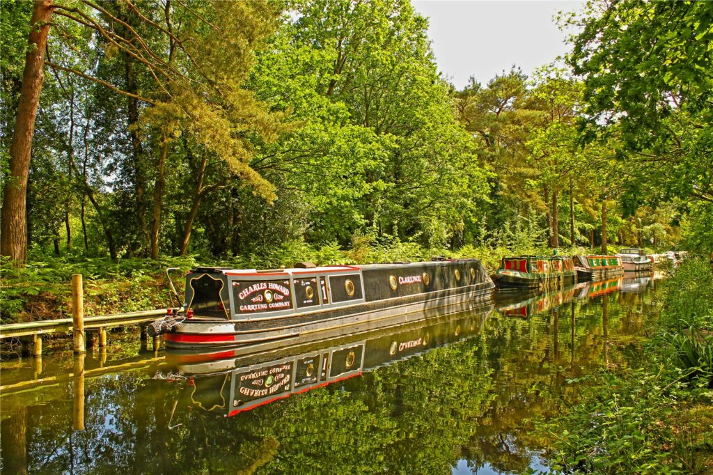 Property Image_15