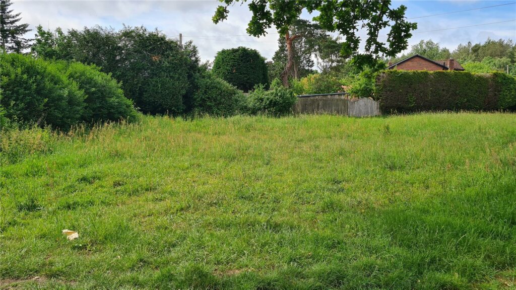 Property Image_11