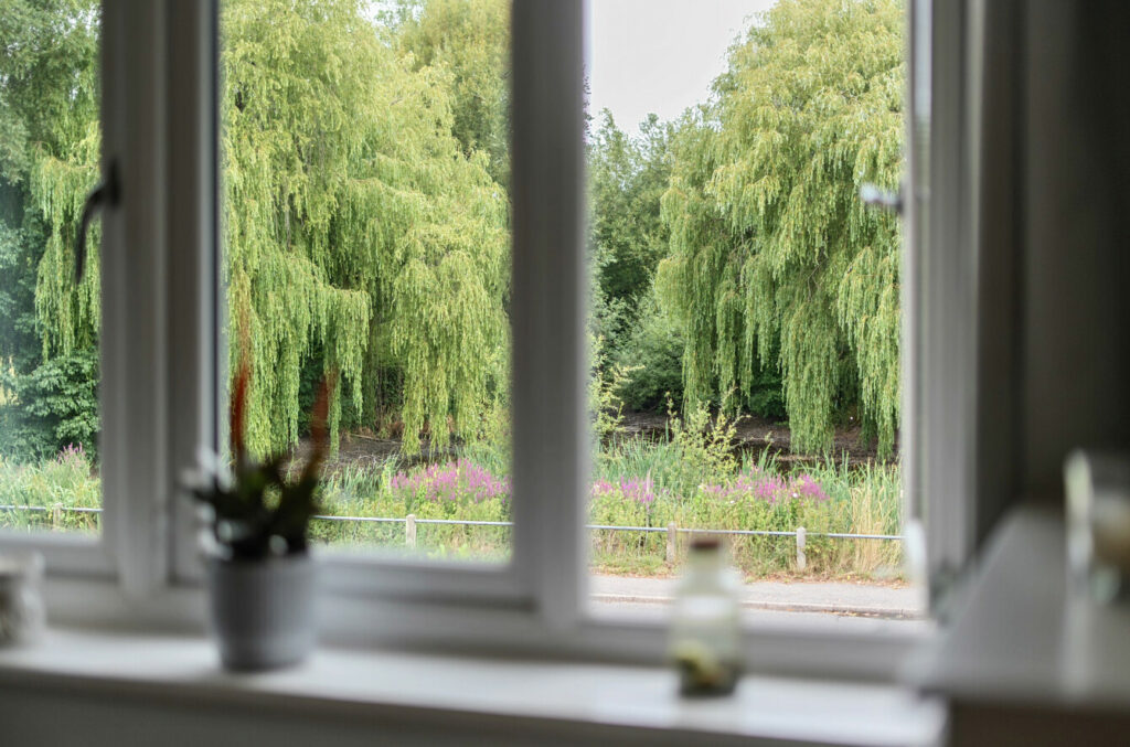 Property Image_13