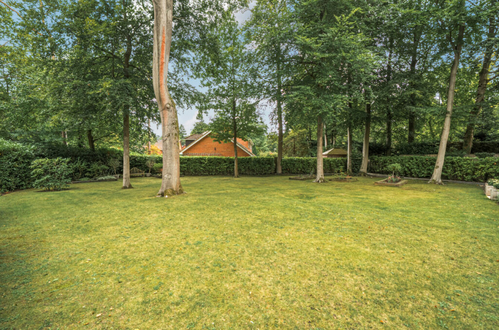Property Image_19