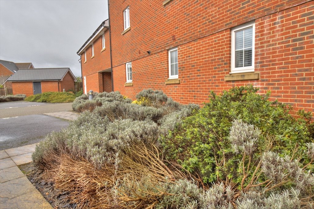 Property Image_13
