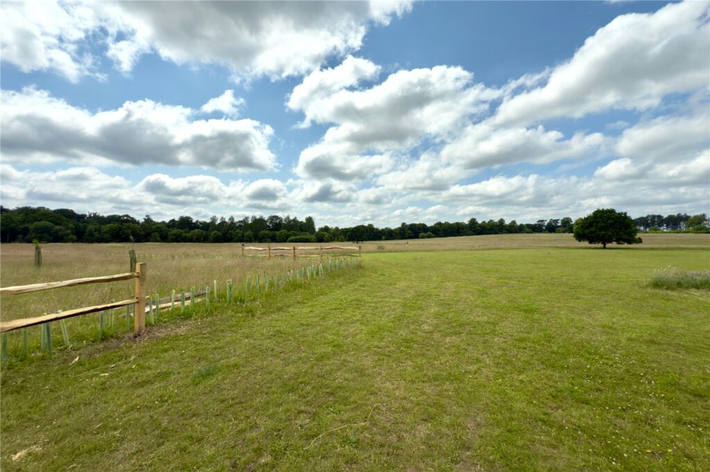 Property Image_34