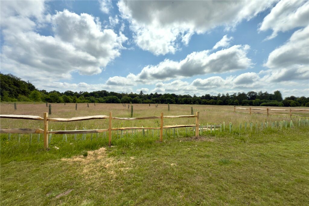 Property Image_41