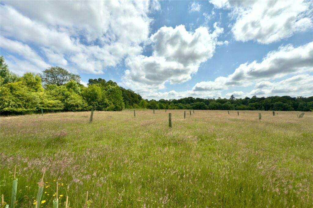 Property Image_42