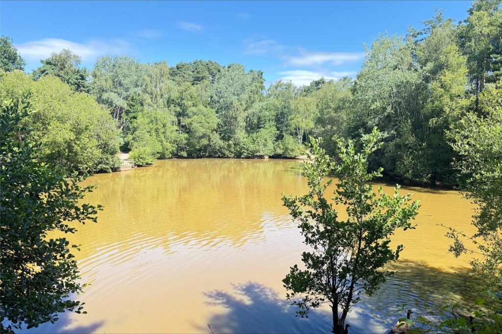 Property Image_17
