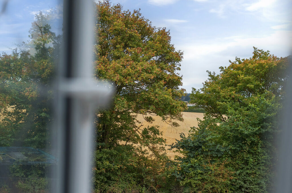 Property Image_13